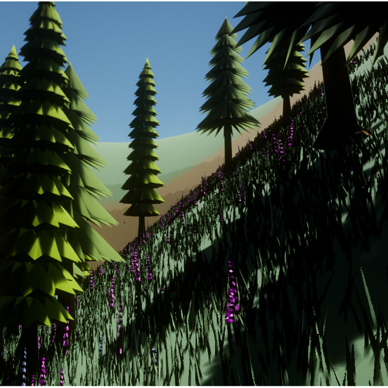 long shadows on a hill